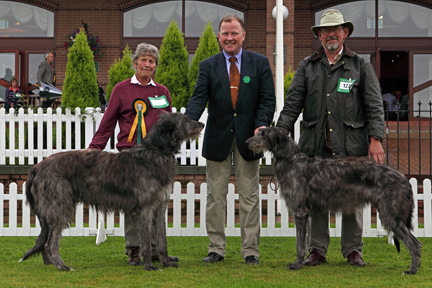 RCC Winners Hound Show 2009